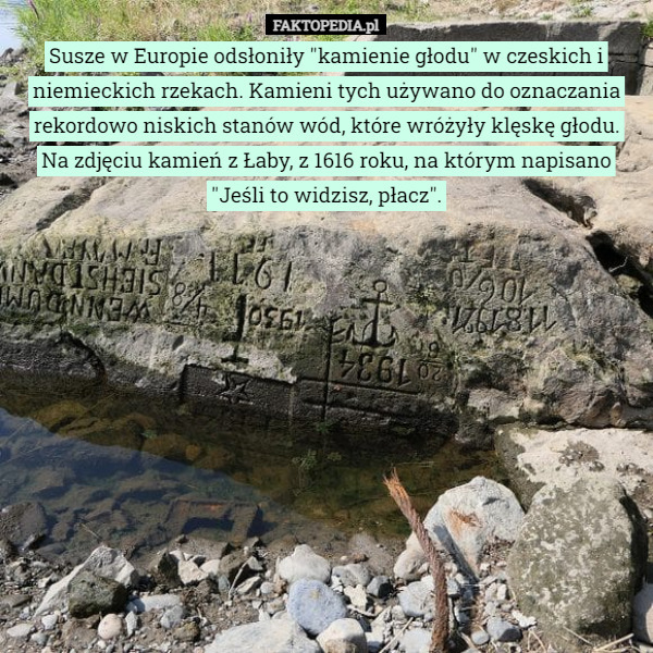 Susze w Europie odłoniły "kamienie głodu" w czeskich i niemieckich rzekach. Kamieni tych używano do oznaczania rekordowo niskich stanów wód, które wróżyły klęskę głodu.
Na zdjęciu kamień z Łaby, z 1616 roku, na którym napisano "Jeśli to widzisz, płacz". 