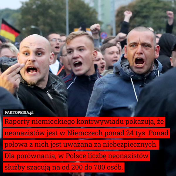 Raporty niemieckiego kontrwywiadu pokazują, że neonazistów jest w Niemczech ponad 24 tys. Ponad połowa z nich jest uważana za niebezpiecznych.
 Dla porównania, w Polsce liczbę neonazistów
 służby szacują na od 200 do 700 osób. 