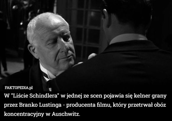 W "Liście Schindlera" w jednej ze scen pojawia się kelner grany przez Branko Lustinga - producenta filmu, który przetrwał obóz koncentracyjny w Auschwitz. 