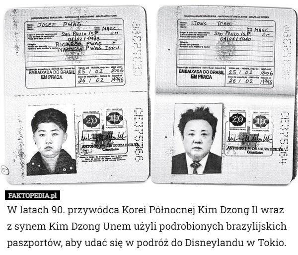 W latach 90. przywódca Korei Północnej Kim Dzong Il wraz z synem Kim Dzong Unem użyli podrobionych brazylijskich paszportów, aby udać się w podróż do Disneylandu w Tokio. 