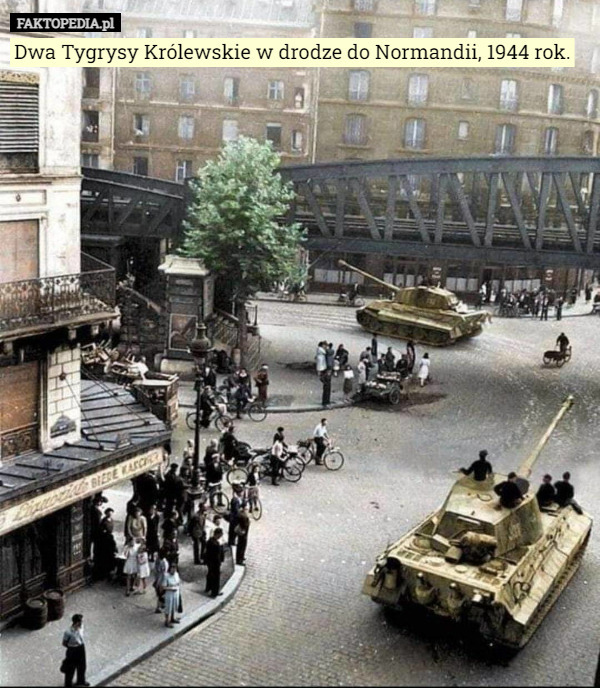 Dwa Tygrysy Królewskie w drodze do Normandii, 1944 rok. 