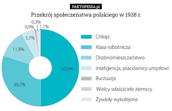 Przekrój społeczeństwa polskiego w 1938 r. 