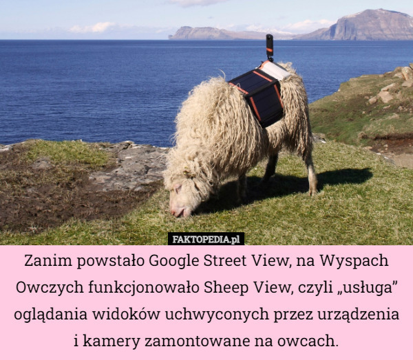 Zanim powstało Google Street View, na Wyspach Owczych funkcjonowało Sheep View, czyli „usługa” oglądania widoków uchwyconych przez urządzenia i kamery zamontowane na owcach. 