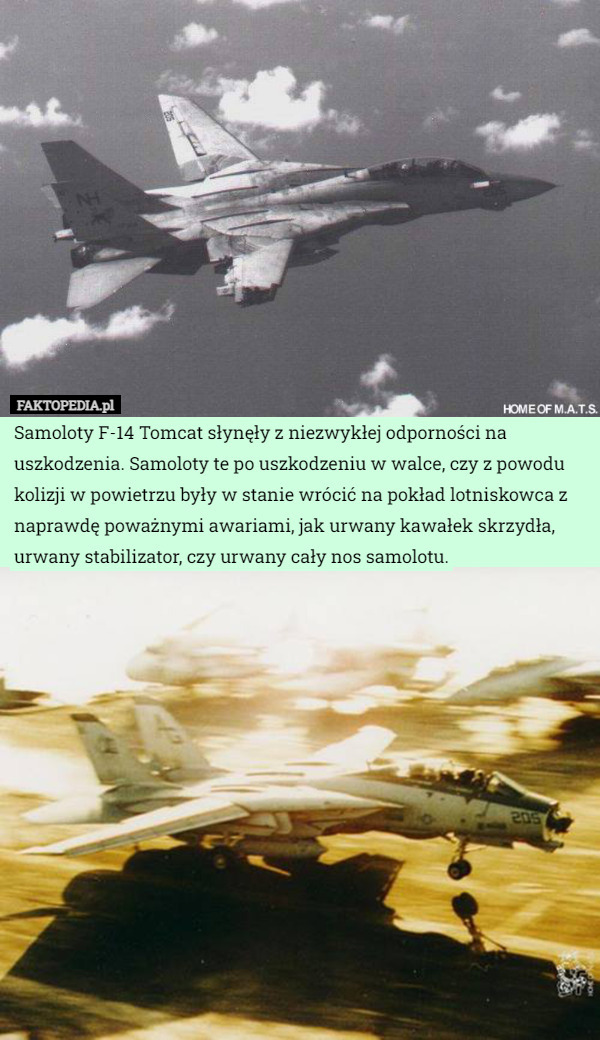 Samoloty F-14 Tomcat słynęły z niezwykłej odporności na uszkodzenia. Samoloty te po uszkodzeniu w walce, czy z powodu kolizji w powietrzu były w stanie wrócić na pokład lotniskowca z naprawdę poważnymi awariami, jak urwany kawałek skrzydła, urwany stabilizator, czy urwany cały nos samolotu. 