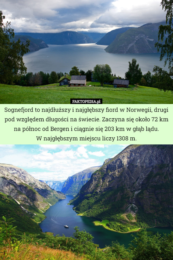 Sognefjord to najdłuższy i najgłębszy fiord w Norwegii, drugi pod względem długości na świecie. Zaczyna się około 72 km na północ od Bergen i ciągnie się 203 km w głąb lądu.
W najgłębszym miejscu liczy 1308 m. 