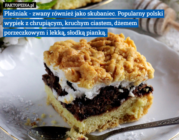 Pleśniak - zwany również jako skubaniec. Popularny polski wypiek z chrupiącym, kruchym ciastem, dżemem porzeczkowym i lekką, słodką pianką. 