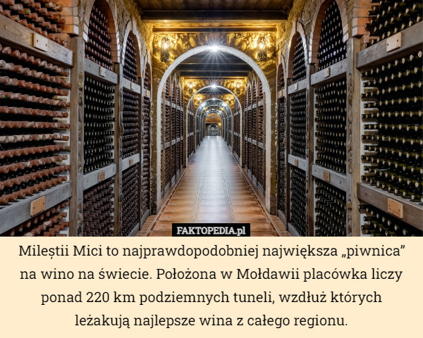 Mileștii Mici to najprawdopodobniej największa „piwnica” na wino na świecie. Położona w Mołdawii placówka liczy ponad 220 km podziemnych tuneli, wzdłuż których
 leżakują najlepsze wina z całego regionu. 