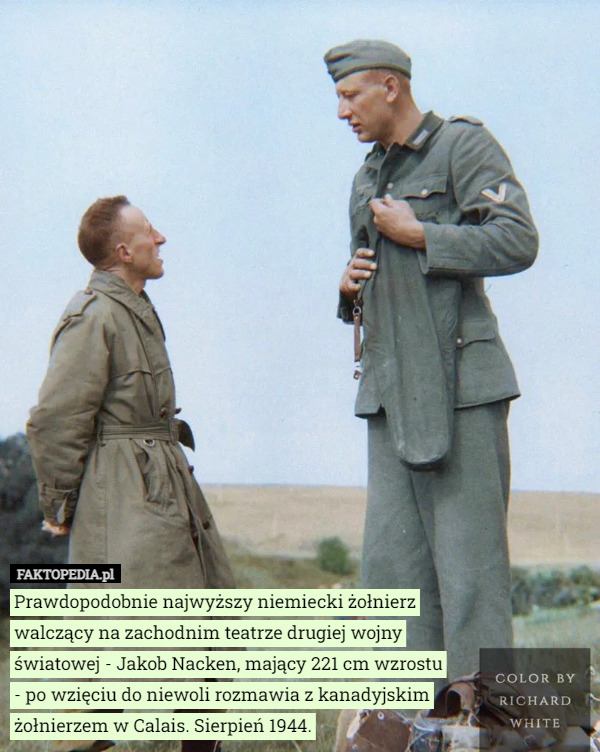 Prawdopodobnie najwyższy niemiecki żołnierz walczący na zachodnim teatrze drugiej wojny światowej - Jakob Nacken, mający 221 cm wzrostu
 - po wzięciu do niewoli rozmawia z kanadyjskim żołnierzem w Calais. Sierpień 1944. 