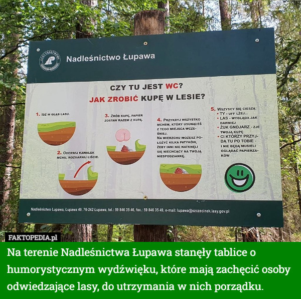 Na terenie Nadleśnictwa Łupawa stanęły tablice o humorystycznym wydźwięku, które mają zachęcić osoby odwiedzające lasy, do utrzymania w nich porządku. 