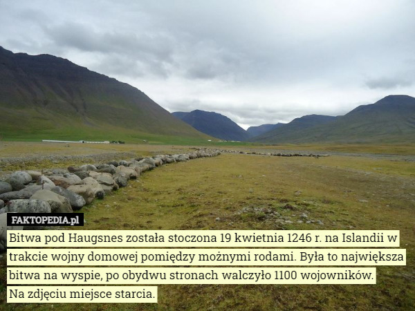 Bitwa pod Haugsnes została stoczona 19 kwietnia 1246 r. na Islandii w trakcie wojny domowej pomiędzy możnymi rodami. Była to największa bitwa na wyspie, po obydwu stronach walczyło 1100 wojowników.
 Na zdjęciu miejsce starcia. 