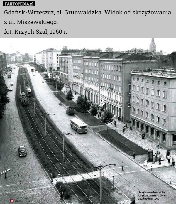 Gdańsk-Wrzeszcz, al. Grunwaldzka. Widok od skrzyżowania z ul. Miszewskiego.
fot. Krzych Szal, 1960 r. 