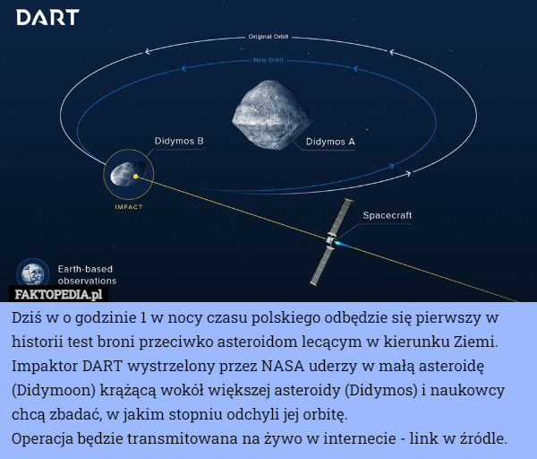 Dziś w o godzinie 1 w nocy czasu polskiego odbędzie się pierwszy w historii test broni przeciwko asteroidom lecącym w kierunku Ziemi. Impaktor DART wystrzelony przez NASA uderzy w małą asteroidę (Didymoon) krążącą wokół większej asteroidy (Didymos) i naukowcy chcą zbadać, w jakim stopniu odchyli jej orbitę.
Operacja będzie transmitowana na żywo w internecie - link w źródle. 