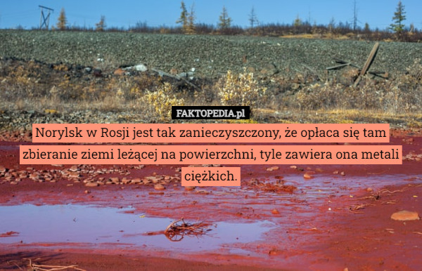 Norylsk w Rosji jest tak zanieczyszczony, że opłaca się tam zbieranie ziemi leżącej na powierzchni, tyle zawiera ona metali ciężkich. 