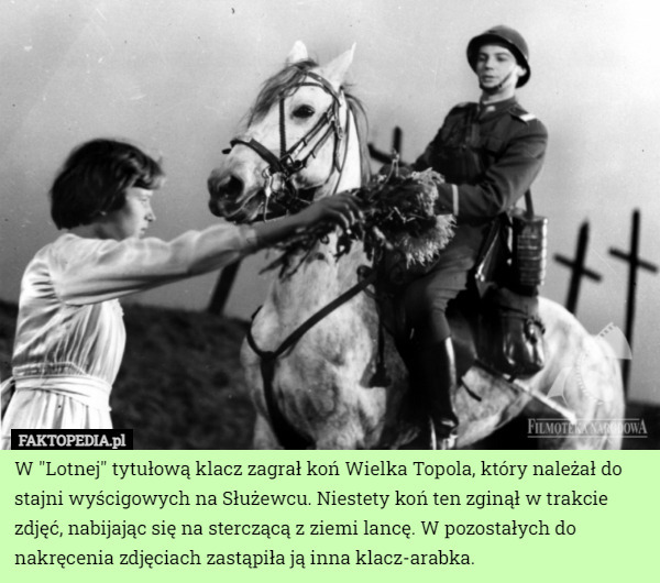 W "Lotnej" tytułową klacz zagrał koń Wielka Topola, który należał do stajni wyścigowych na Służewcu. Niestety koń ten zginął w trakcie zdjęć, nabijając się na sterczącą z ziemi lancę. W pozostałych do nakręcenia zdjęciach zastąpiła ją inna klacz-arabka. 
