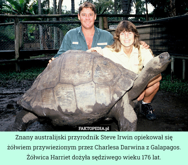 Znany australijski przyrodnik Steve Irwin opiekował się żółwiem przywiezionym przez Charlesa Darwina z Galapagos. Żółwica Harriet dożyła sędziwego wieku 176 lat. 