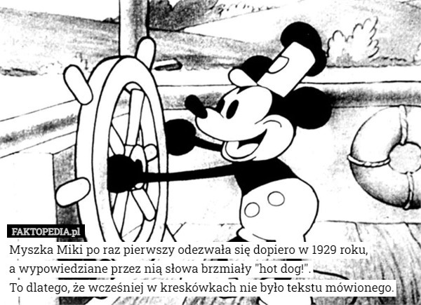 Myszka Miki po raz pierwszy odezwała się dopiero w 1929 roku,
 a wypowiedziane przez nią słowa brzmiały "hot dog!".
To dlatego, że wcześniej w kreskówkach nie było tekstu mówionego. 