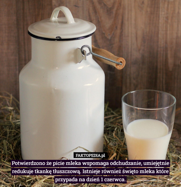Potwierdzono że picie mleka wspomaga odchudzanie, umiejętnie redukuje tkankę tłuszczową. Istnieje również święto mleka które przypada na dzień 1 czerwca. 