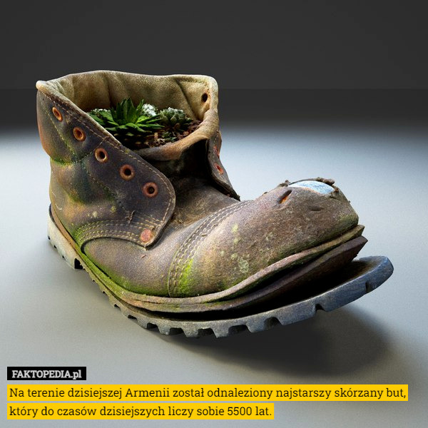 Na terenie dzisiejszej Armenii został odnaleziony najstarszy skórzany but, który do czasów dzisiejszych liczy sobie 5500 lat. 