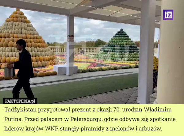 Tadżykistan przygotował prezent z okazji 70. urodzin Władimira Putina. Przed pałacem w Petersburgu, gdzie odbywa się spotkanie liderów krajów WNP, stanęły piramidy z melonów i arbuzów. 