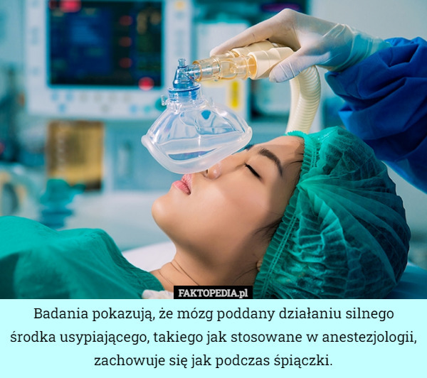 Badania pokazują, że mózg poddany działaniu silnego środka usypiającego, takiego jak stosowane w anestezjologii, zachowuje się jak podczas śpiączki. 