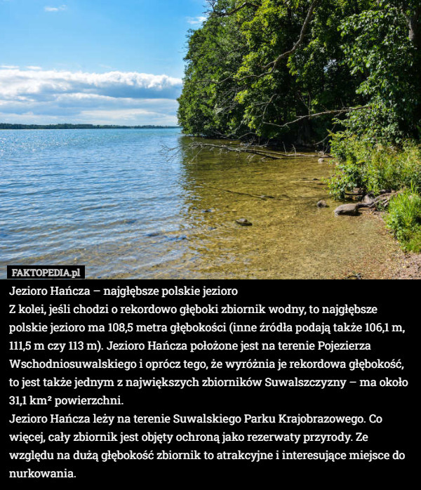Jezioro Hańcza – najgłębsze polskie jezioro
Z kolei, jeśli chodzi o rekordowo głęboki zbiornik wodny, to najgłębsze polskie jezioro ma 108,5 metra głębokości (inne źródła podają także 106,1 m, 111,5 m czy 113 m). Jezioro Hańcza położone jest na terenie Pojezierza Wschodniosuwalskiego i oprócz tego, że wyróżnia je rekordowa głębokość, to jest także jednym z największych zbiorników Suwalszczyzny – ma około 31,1 km² powierzchni.
Jezioro Hańcza leży na terenie Suwalskiego Parku Krajobrazowego. Co więcej, cały zbiornik jest objęty ochroną jako rezerwaty przyrody. Ze względu na dużą głębokość zbiornik to atrakcyjne i interesujące miejsce do nurkowania. 