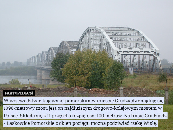 W województwie kujawsko-pomorskim w mieście Grudziądz znajduję się 1098-metrowy most, jest on najdłuższym drogowo-kolejowym mostem w Polsce. Składa się z 11 przęseł o rozpiętości 100 metrów. Na trasie Grudziądz - Laskowice Pomorskie z okien pociągu można podziwiać rzekę Wisłę. 