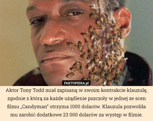 Aktor Tony Todd miał zapisaną w swoim kontrakcie klauzulę, zgodnie z którą za każde użądlenie pszczoły w jednej ze scen filmu „Candyman” otrzyma 1000 dolarów. Klauzula pozwoliła mu zarobić dodatkowe 23 000 dolarów za występ w filmie. 