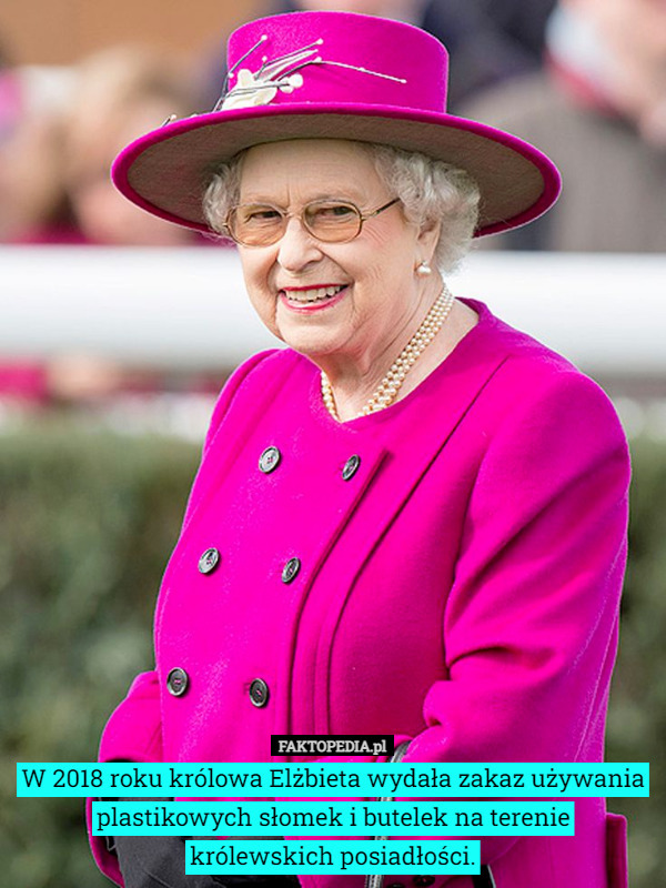 W 2018 roku królowa Elżbieta wydała zakaz używania plastikowych słomek i butelek na terenie
królewskich posiadłości. 