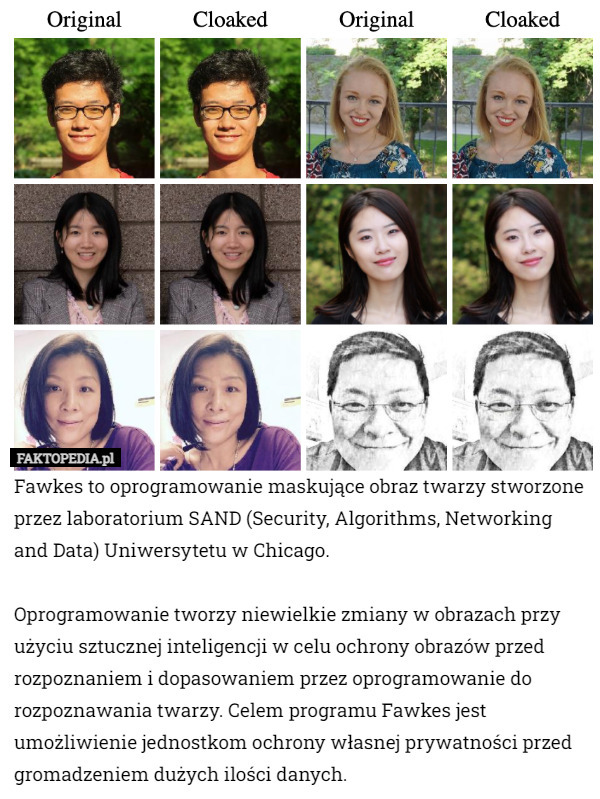 Fawkes to oprogramowanie maskujące obraz twarzy stworzone przez laboratorium SAND (Security, Algorithms, Networking and Data) Uniwersytetu w Chicago.

Oprogramowanie tworzy niewielkie zmiany w obrazach przy użyciu sztucznej inteligencji w celu ochrony obrazów przed rozpoznaniem i dopasowaniem przez oprogramowanie do rozpoznawania twarzy. Celem programu Fawkes jest umożliwienie jednostkom ochrony własnej prywatności przed gromadzeniem dużych ilości danych. 