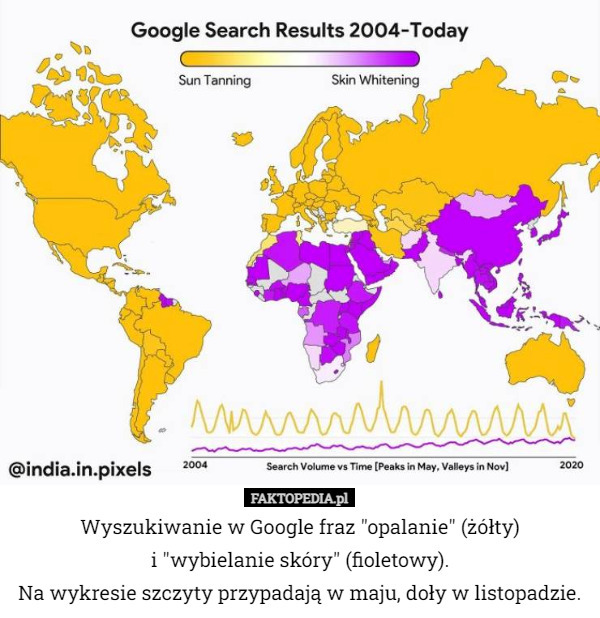 Wyszukiwanie w Google fraz "opalanie" (żółty)
 i "wybielanie skóry" (fioletowy).
Na wykresie szczyty przypadają w maju, doły w listopadzie. 