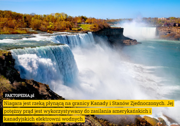 Niagara jest rzeką płynącą na granicy Kanady i Stanów Zjednoczonych. Jej potężny prąd jest wykorzystywany do zasilania amerykańskich i kanadyjskich elektrowni wodnych. 