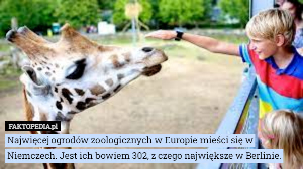Najwięcej ogrodów zoologicznych w Europie mieści się w Niemczech. Jest ich bowiem 302, z czego największe w Berlinie. 