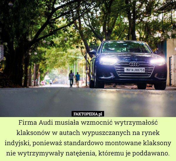Firma Audi musiała wzmocnić wytrzymałość klaksonów w autach wypuszczanych na rynek indyjski, ponieważ standardowo montowane klaksony nie wytrzymywały natężenia, któremu je poddawano. 