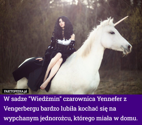 W sadze "Wiedźmin" czarownica Yennefer z Vengerbergu bardzo lubiła kochać się na wypchanym jednorożcu, którego miała w domu. 