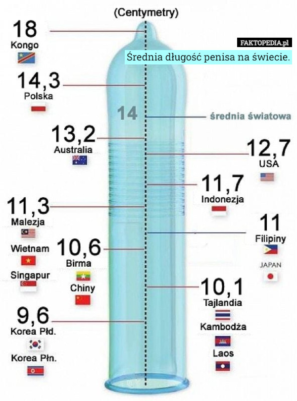 Średnia długość penisa na świecie. 