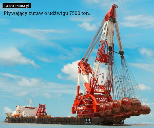 Pływający żuraw o udźwigu 7500 ton. 