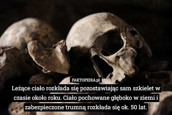 Leżące ciało rozkłada się pozostawiając sam szkielet w czasie około roku. Ciało pochowane głęboko w ziemi i zabezpieczone trumną rozkłada się ok. 50 lat. 