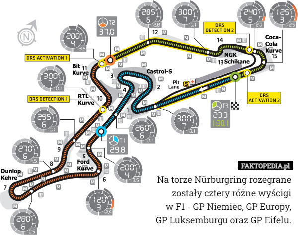 Na torze Nürburgring rozegrane zostały cztery różne wyścigi
 w F1 - GP Niemiec, GP Europy,
 GP Luksemburgu oraz GP Eifelu. 