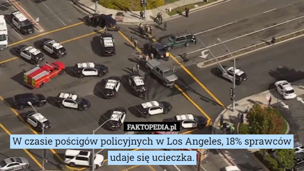 W czasie pościgów policyjnych w Los Angeles, 18% sprawców udaje się ucieczka. 