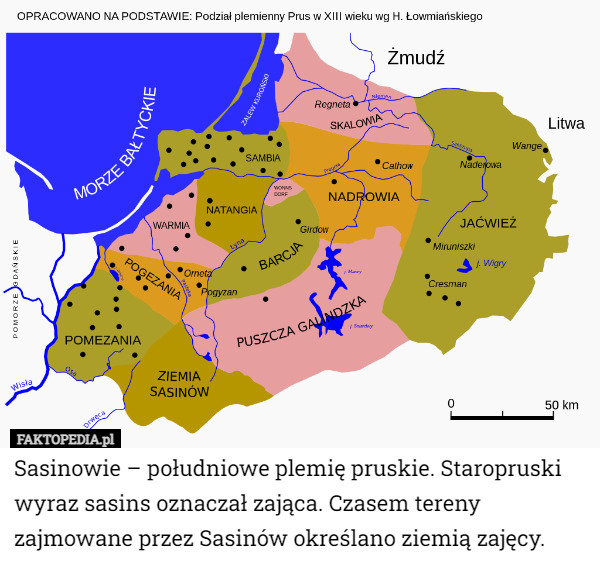 Sasinowie – południowe plemię pruskie. Staropruski wyraz sasins oznaczał zająca. Czasem tereny zajmowane przez Sasinów określano ziemią zajęcy. 
