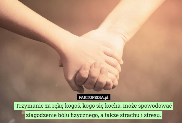 Trzymanie za rękę kogoś, kogo się kocha, może spowodować złagodzenie bólu fizycznego, a także strachu i stresu. 