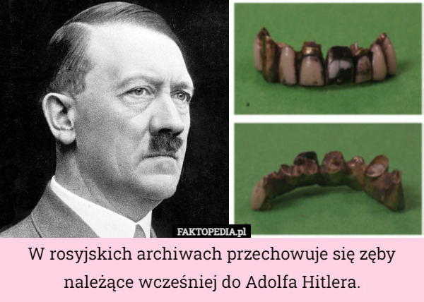 W rosyjskich archiwach przechowuje się zęby należące wcześniej do Adolfa Hitlera. 