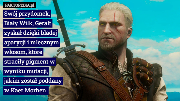 Swój przydomek, Biały Wilk, Geralt zyskał dzięki bladej aparycji i mlecznym włosom, które straciły pigment w wyniku mutacji, jakim został poddany w Kaer Morhen. 