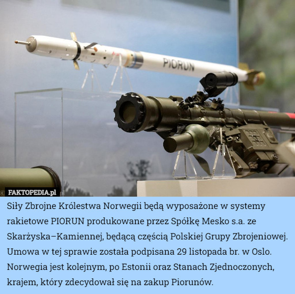 Siły Zbrojne Królestwa Norwegii będą wyposażone w systemy rakietowe PIORUN produkowane przez Spółkę Mesko s.a. ze Skarżyska–Kamiennej, będącą częścią Polskiej Grupy Zbrojeniowej.
 Umowa w tej sprawie została podpisana 29 listopada br. w Oslo. Norwegia jest kolejnym, po Estonii oraz Stanach Zjednoczonych, krajem, który zdecydował się na zakup Piorunów. 