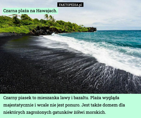 Czarna plaża na Hawajach. Czarny piasek to mieszanka lawy i bazaltu. Plaża wygląda majestatycznie i wcale nie jest ponuro. Jest także domem dla niektórych zagrożonych gatunków żółwi morskich. 