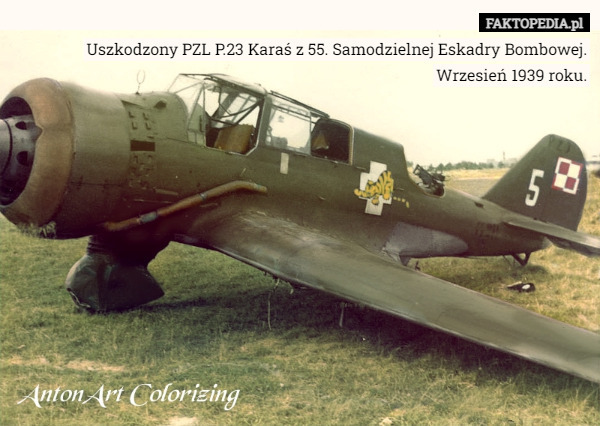 Uszkodzony PZL P.23 Karaś z 55. Samodzielnej Eskadry Bombowej.
Wrzesień 1939 roku. 
