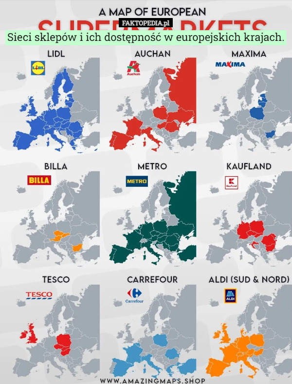 Sieci sklepów i ich dostępność w europejskich krajach. 