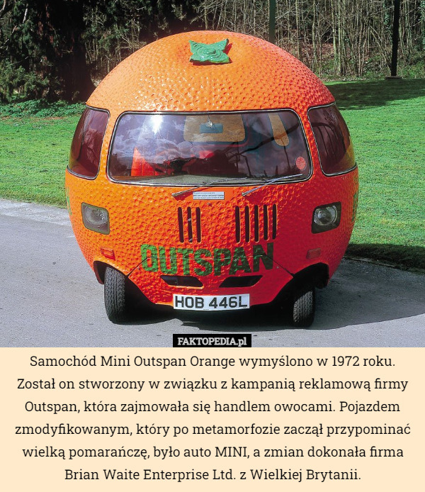 Samochód Mini Outspan Orange wymyślono w 1972 roku. Został on stworzony w związku z kampanią reklamową firmy Outspan, która zajmowała się handlem owocami. Pojazdem zmodyfikowanym, który po metamorfozie zaczął przypominać wielką pomarańczę, było auto MINI, a zmian dokonała firma Brian Waite Enterprise Ltd. z Wielkiej Brytanii. 