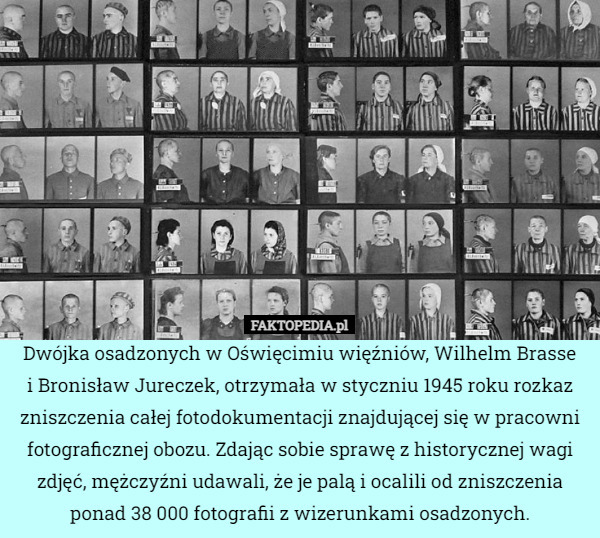 Dwójka osadzonych w Oświęcimiu więźniów, Wilhelm Brasse
i Bronisław Jureczek, otrzymała w styczniu 1945 roku rozkaz zniszczenia całej fotodokumentacji znajdującej się w pracowni fotograficznej obozu. Zdając sobie sprawę z historycznej wagi zdjęć, mężczyźni udawali, że je palą i ocalili od zniszczenia ponad 38 000 fotografii z wizerunkami osadzonych. 