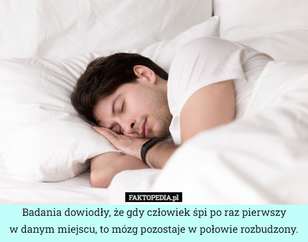 Badania dowiodły, że gdy człowiek śpi po raz pierwszy
w danym miejscu, to mózg pozostaje w połowie rozbudzony. 